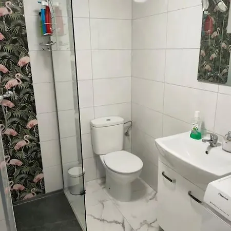 Flamingo Z Basenem * Τορεβιέχα