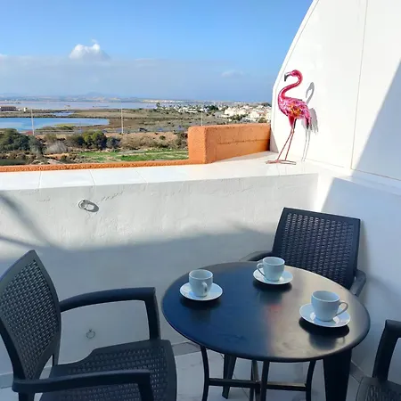 Flamingo Z Basenem *