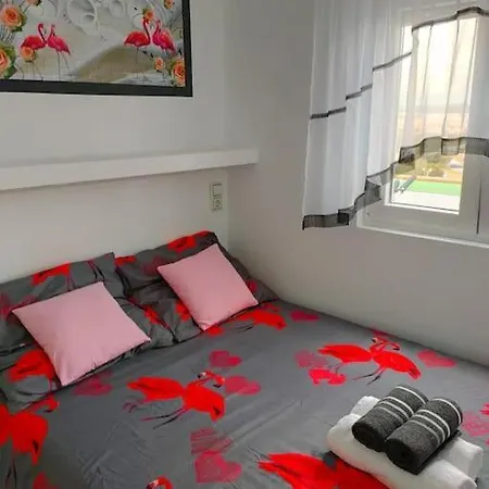 Flamingo Z Basenem * טורבייחה