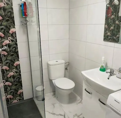 Flamingo Z Basenem * Torrevieja