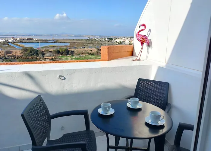 Flamingo Z Basenem *